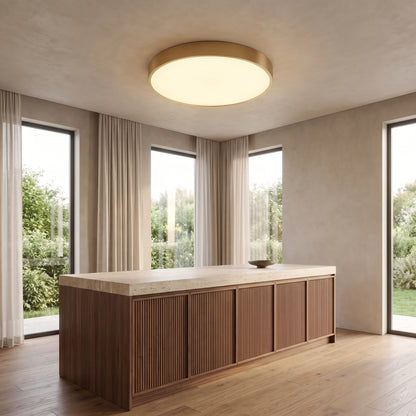 Sorrel flush mount ceiling light in a kitchen