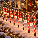 Solar candy cane Christmas pathway light, detail view