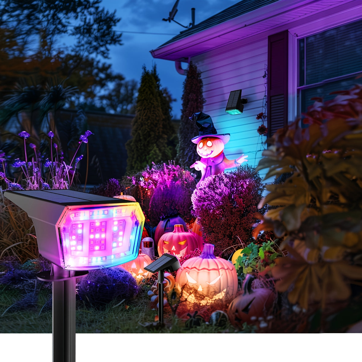 Solar spotlights lining a driveway edge for outdoor accent lighting