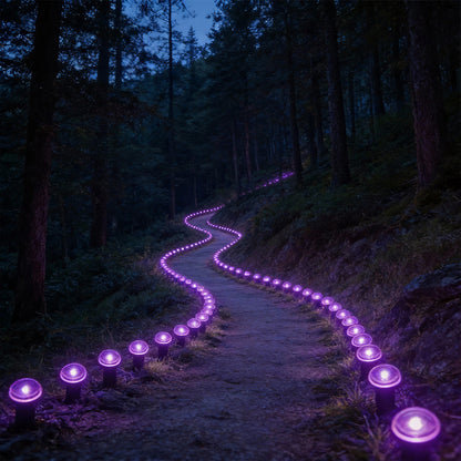 30-LED Solar Pathway Lights, Outdoor Landscape & Lawn Stake Lights, IP66