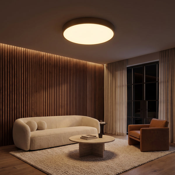 Sorrel Flush Mount Ceiling Light, Brushed Gold, Brass & Acrylic