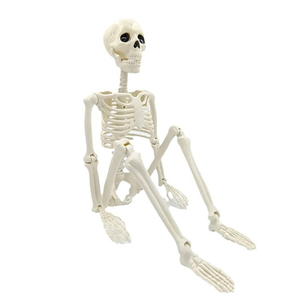 Posable Halloween skeleton displayed in a graveyard scene
