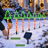 Christmas tree stake lights spaced along a driveway approach