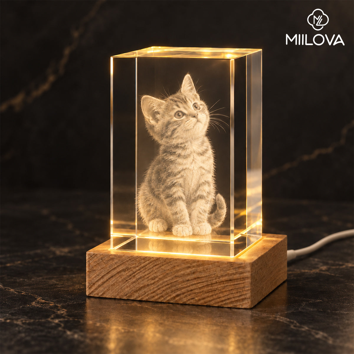 Crystal portrait keepsake as a Christmas gift