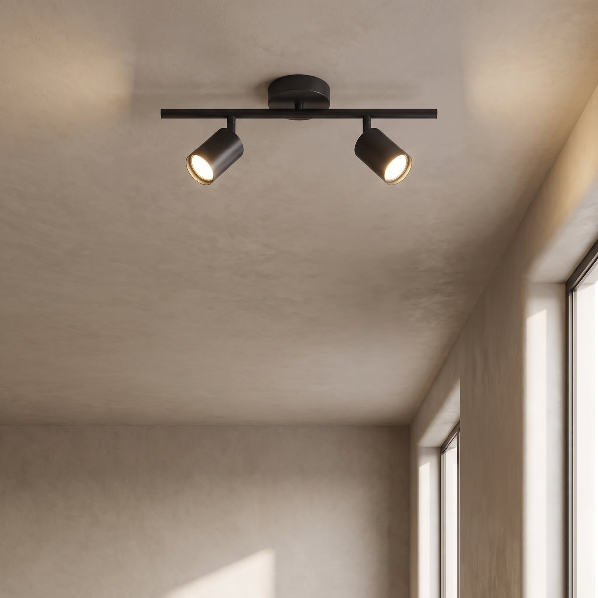 Casimir track light in matte black with 2 lights