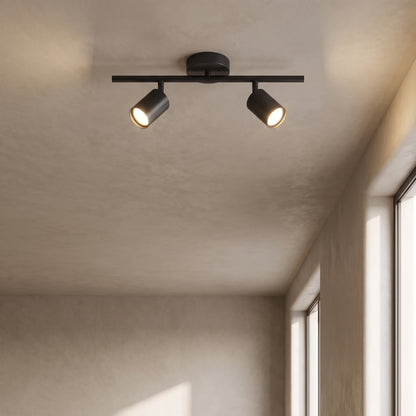 Casimir track light in matte black with 2 lights