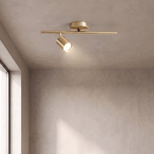 Casimir track light in brushed gold with 1 light