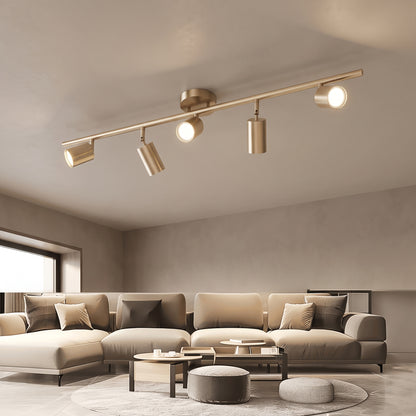 Casimir track light in brushed gold with 5 lights