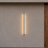 Haylen outdoor wall light, 31 inch length