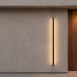 Haylen outdoor wall light, 59 inch length