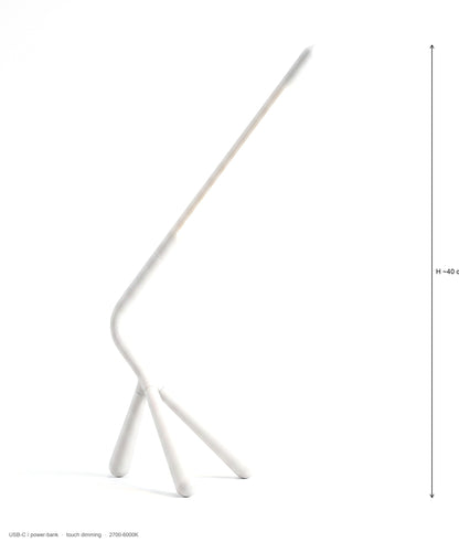 Egret Touch-Dimming LED Reading Lamp, Rotating Head, USB-C Powered