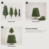 Assembly guide: unfold the stand, stack the sections, fluff the branches