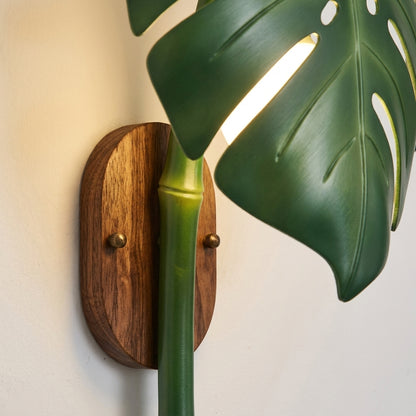 Monstera - mounting detail