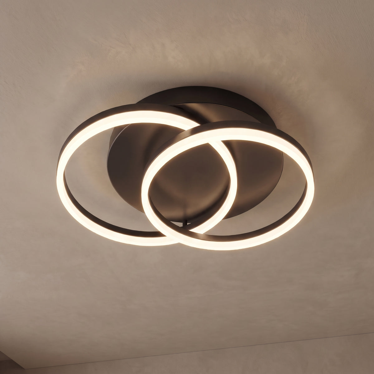 Ondine circle ring ceiling light close-up in black ash with 2 rings