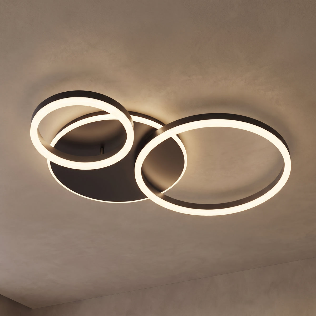 Ondine circle ring ceiling light close-up in black ash with 3 rings