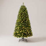 Pre-lit Christmas tree with warm white lights on, studio photo
