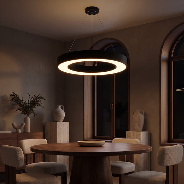 LED Pendant Ring Ceiling Light Modern Metal Acrylic Light