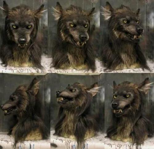 Realistic wolf costume mask with layered artificial fur