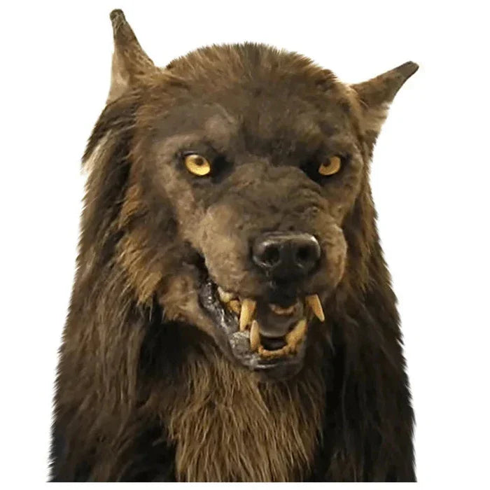 Handmade werewolf mask for Halloween and cosplay wear